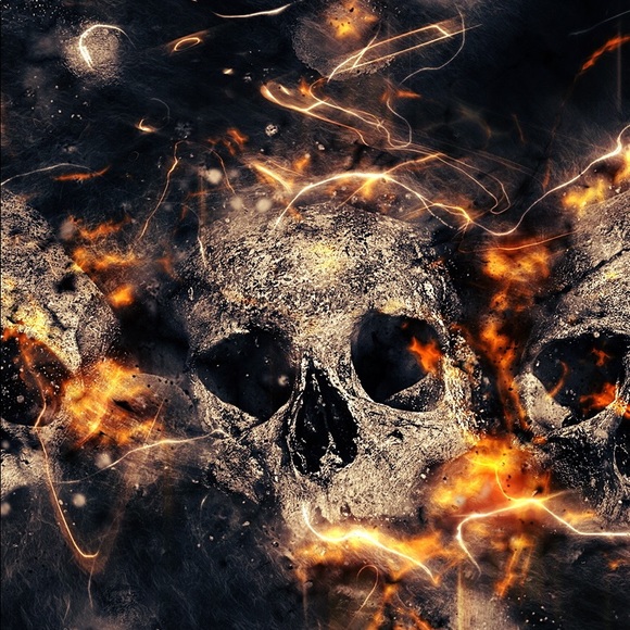 Meet your Posher, Bruce - Picture 12 of 12